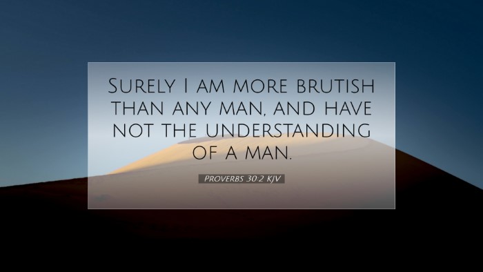 Picture 07 - Proverbs 30:2 KJV Desktop Wallpaper - Surely I am more brutish than any man, and have - Desktop Bible Verse Wallpaper