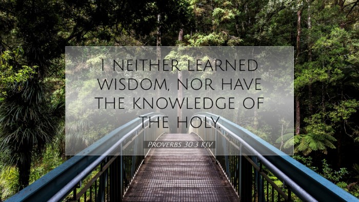 Picture 07 - Proverbs 30:3 KJV Desktop Wallpaper - I neither learned wisdom, nor have the knowledge - Desktop Bible Verse Wallpaper