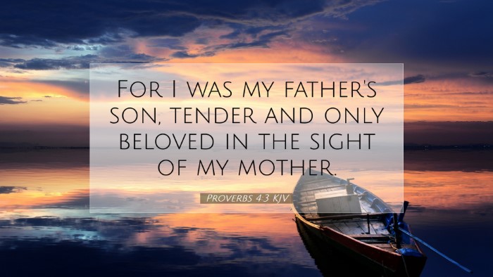 Picture 07 - Proverbs 4:3 KJV Desktop Wallpaper - For I was my father's son, tender and only - Desktop Bible Verse Wallpaper