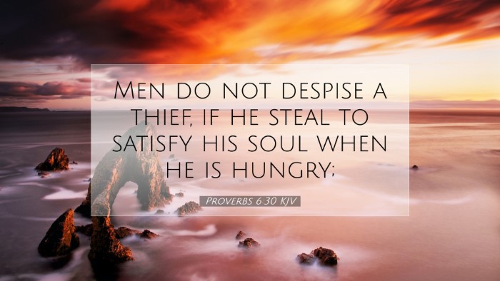 Picture 07 - Proverbs 6:30 KJV Desktop Wallpaper - Men do not despise a thief, if he steal to - Desktop Bible Verse Wallpaper