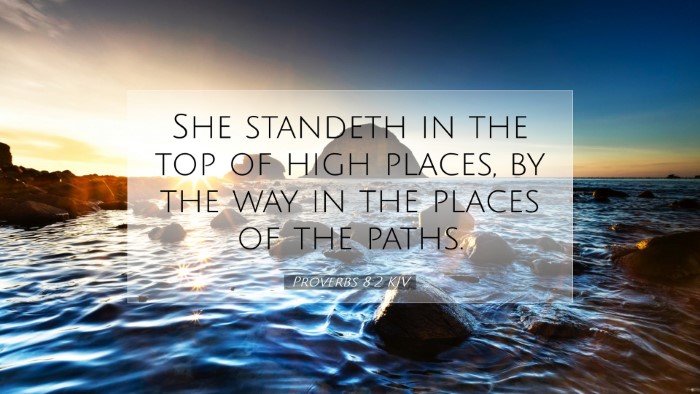 Picture 07 - Proverbs 8:2 KJV Desktop Wallpaper - She standeth in the top of high places, by the - Desktop Bible Verse Wallpaper