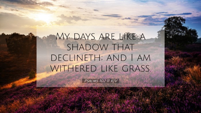 Picture 07 - Psalms 102:11 KJV Desktop Wallpaper - My days are like a shadow that declineth; and I - Desktop Bible Verse Wallpaper