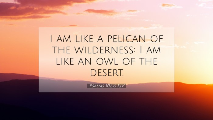 Picture 07 - Psalms 102:6 KJV Desktop Wallpaper - I am like a pelican of the wilderness: I am like - Desktop Bible Verse Wallpaper