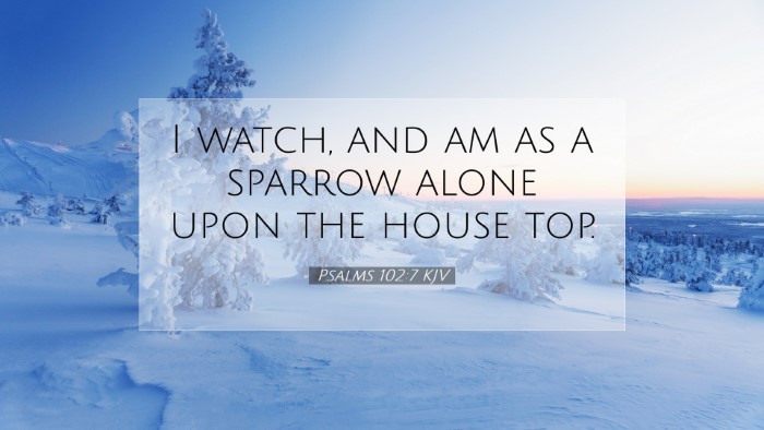 Picture 07 - Psalms 102:7 KJV Desktop Wallpaper - I watch, and am as a sparrow alone upon the house - Desktop Bible Verse Wallpaper