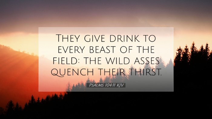 Picture 07 - Psalms 104:11 KJV Desktop Wallpaper - They give drink to every beast of the field: the - Desktop Bible Verse Wallpaper