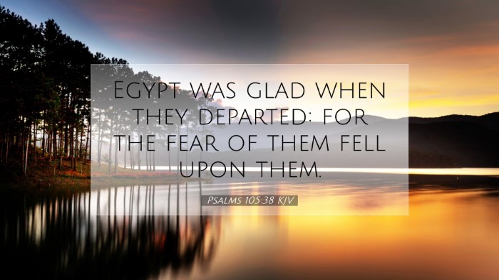 Picture 07 - Psalms 105:38 KJV Desktop Wallpaper - Egypt was glad when they departed: for the fear - Desktop Bible Verse Wallpaper
