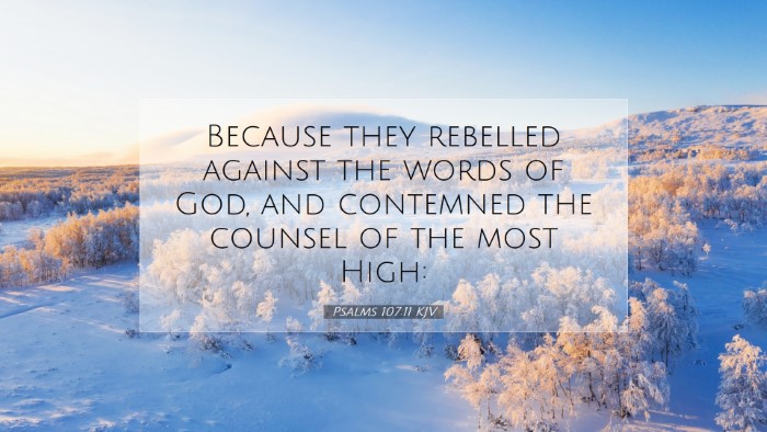 Picture 07 - Psalms 107:11 KJV Desktop Wallpaper - Because they rebelled against the words of God, - Desktop Bible Verse Wallpaper