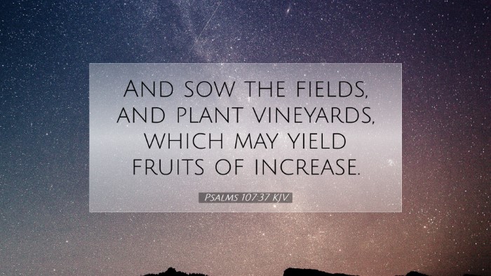 Picture 07 - Psalms 107:37 KJV Desktop Wallpaper - And sow the fields, and plant vineyards, which - Desktop Bible Verse Wallpaper