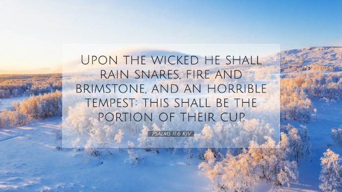 Picture 07 - Psalms 11:6 KJV Desktop Wallpaper - Upon the wicked he shall rain snares, fire and - Desktop Bible Verse Wallpaper