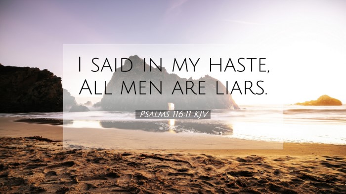 Picture 07 - Psalms 116:11 KJV Desktop Wallpaper - I said in my haste, All men are - Desktop Bible Verse Wallpaper