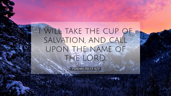 Picture 07 - Psalms 116:13 KJV Desktop Wallpaper - I will take the cup of salvation, and call upon - Desktop Bible Verse Wallpaper