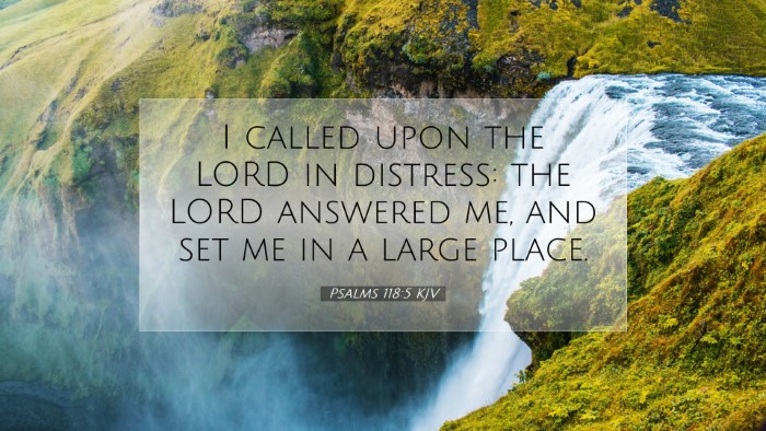 Picture 07 - Psalms 118:5 KJV Desktop Wallpaper - I called upon the LORD in distress: the LORD - Desktop Bible Verse Wallpaper