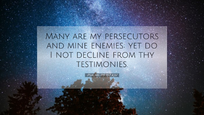 Picture 07 - Psalms 119:157 KJV Desktop Wallpaper - Many are my persecutors and mine enemies; yet do - Desktop Bible Verse Wallpaper