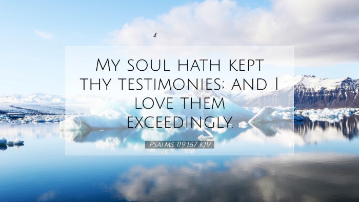 Picture 07 - Psalms 119:167 KJV Desktop Wallpaper - My soul hath kept thy testimonies; and I love - Desktop Bible Verse Wallpaper