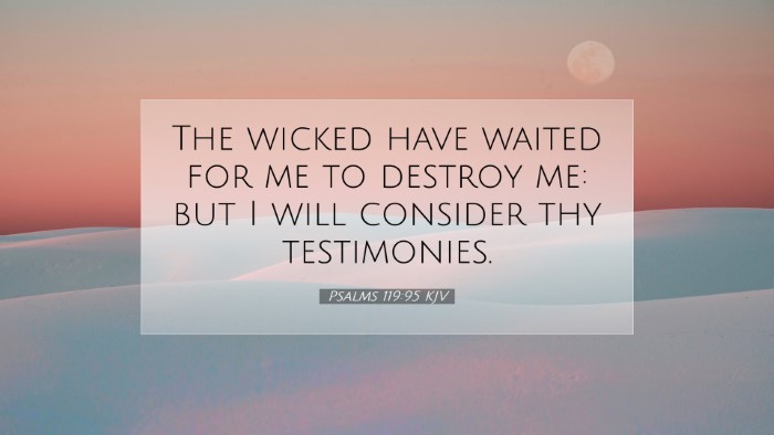 Picture 07 - Psalms 119:95 KJV Desktop Wallpaper - The wicked have waited for me to destroy me: but - Desktop Bible Verse Wallpaper
