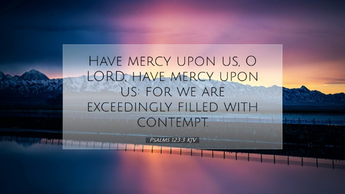Picture 07 - Psalms 123:3 KJV Desktop Wallpaper - Have mercy upon us, O LORD, have mercy upon us: - Desktop Bible Verse Wallpaper