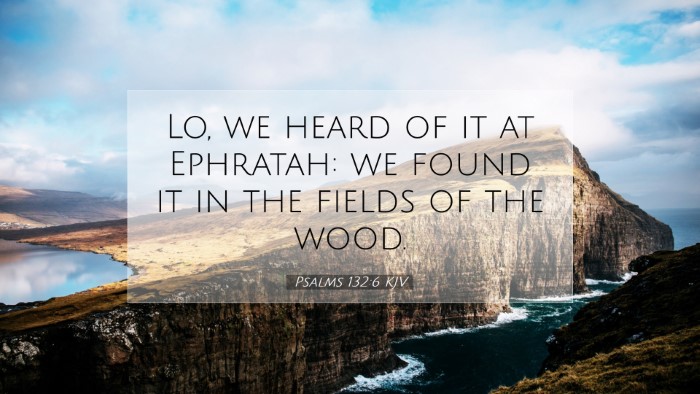 Picture 07 - Psalms 132:6 KJV Desktop Wallpaper - Lo, we heard of it at Ephratah: we found it in - Desktop Bible Verse Wallpaper