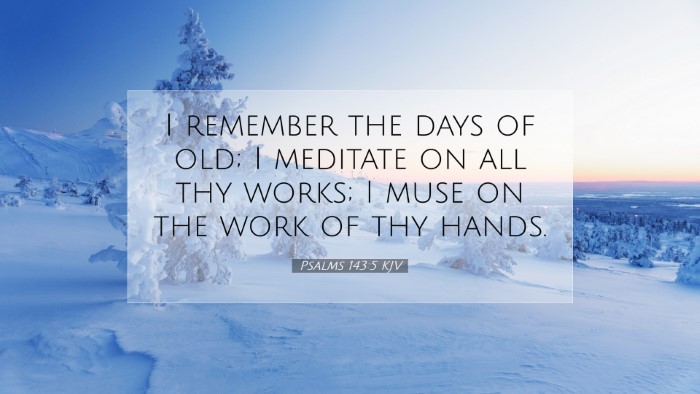 Picture 07 - Psalms 143:5 KJV Desktop Wallpaper - I remember the days of old; I meditate on all thy - Desktop Bible Verse Wallpaper