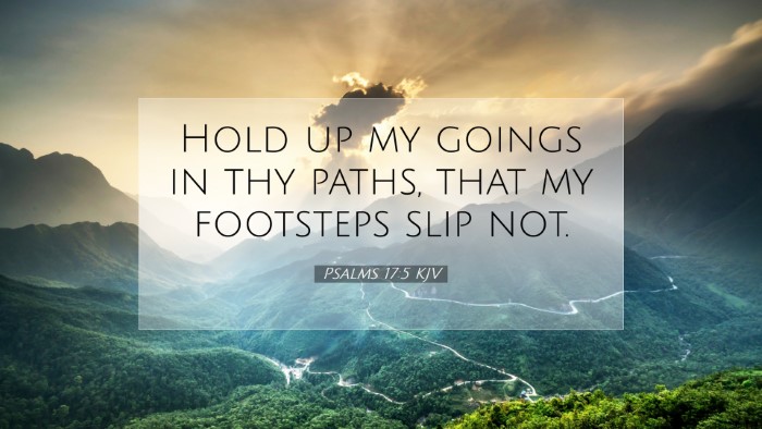 Picture 07 - Psalms 17:5 KJV Desktop Wallpaper - Hold up my goings in thy paths, that my footsteps - Desktop Bible Verse Wallpaper