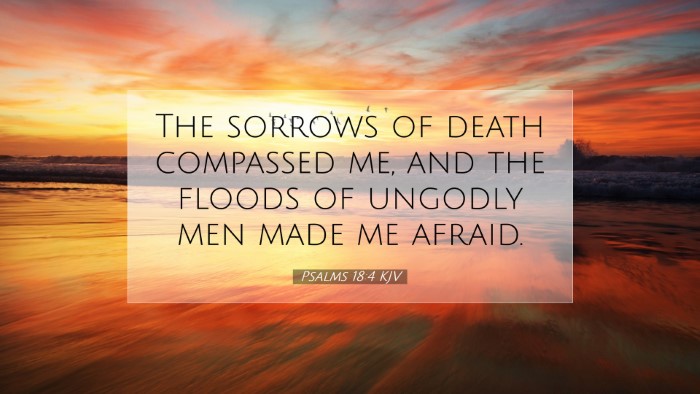 Picture 07 - Psalms 18:4 KJV Desktop Wallpaper - The sorrows of death compassed me, and the floods - Desktop Bible Verse Wallpaper