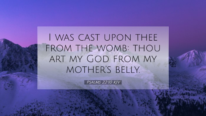 Picture 07 - Psalms 22:10 KJV Desktop Wallpaper - I was cast upon thee from the womb: thou art my - Desktop Bible Verse Wallpaper