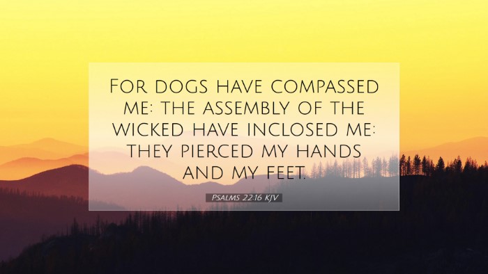 Picture 07 - Psalms 22:16 KJV Desktop Wallpaper - For dogs have compassed me: the assembly of the - Desktop Bible Verse Wallpaper