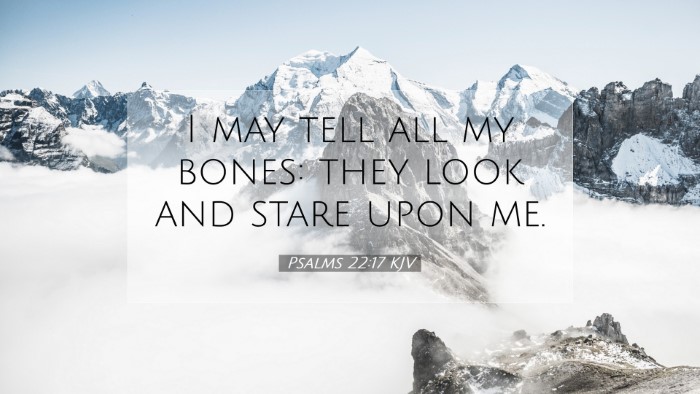 Picture 07 - Psalms 22:17 KJV Desktop Wallpaper - I may tell all my bones: they look and stare upon - Desktop Bible Verse Wallpaper