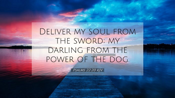 Picture 07 - Psalms 22:20 KJV Desktop Wallpaper - Deliver my soul from the sword; my darling from - Desktop Bible Verse Wallpaper