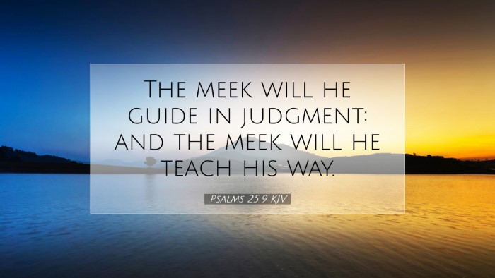 Picture 07 - Psalms 25:9 KJV Desktop Wallpaper - The meek will he guide in judgment: and the meek - Desktop Bible Verse Wallpaper