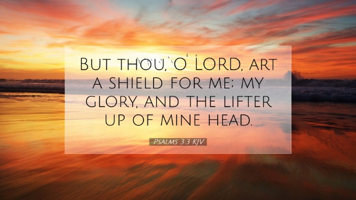 Picture 07 - Psalms 3:3 KJV Desktop Wallpaper - But thou, O LORD, art a shield for me; my glory, - Desktop Bible Verse Wallpaper