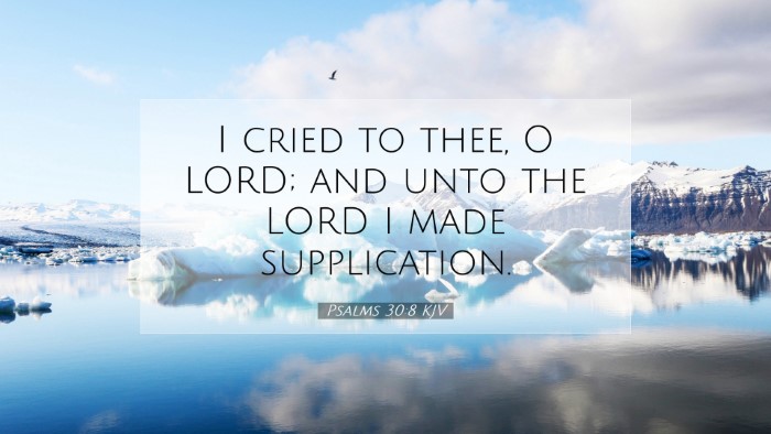 Picture 07 - Psalms 30:8 KJV Desktop Wallpaper - I cried to thee, O LORD; and unto the LORD I made - Desktop Bible Verse Wallpaper