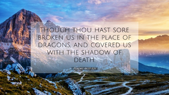 Picture 07 - Psalms 44:19 KJV Desktop Wallpaper - Though thou hast sore broken us in the place of - Desktop Bible Verse Wallpaper