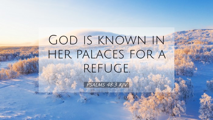 Picture 07 - Psalms 48:3 KJV Desktop Wallpaper - God is known in her palaces for a - Desktop Bible Verse Wallpaper
