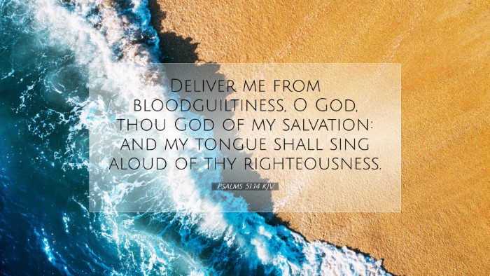 Picture 07 - Psalms 51:14 KJV Desktop Wallpaper - Deliver me from bloodguiltiness, O God, thou God - Desktop Bible Verse Wallpaper