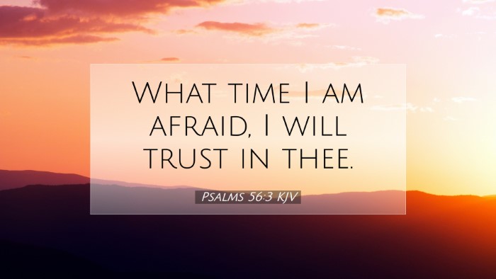 Picture 07 - Psalms 56:3 KJV Desktop Wallpaper - What time I am afraid, I will trust in - Desktop Bible Verse Wallpaper