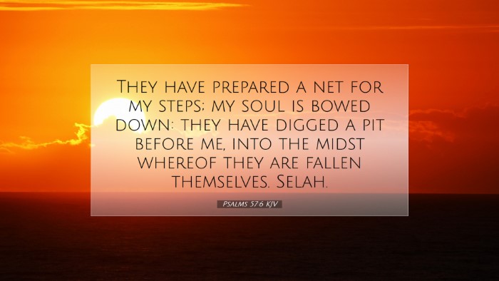 Picture 07 - Psalms 57:6 KJV Desktop Wallpaper - They have prepared a net for my steps; my soul is - Desktop Bible Verse Wallpaper
