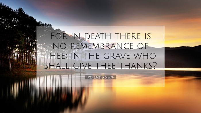 Picture 07 - Psalms 6:5 KJV Desktop Wallpaper - For in death there is no remembrance of thee: in - Desktop Bible Verse Wallpaper