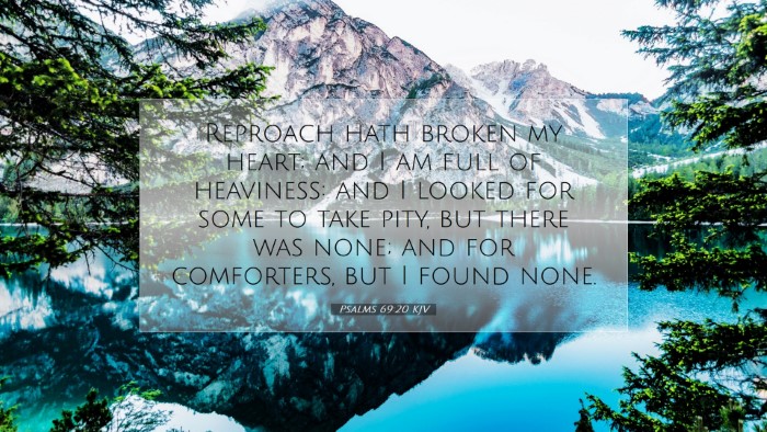 Picture 07 - Psalms 69:20 KJV Desktop Wallpaper - Reproach hath broken my heart; and I am full of - Desktop Bible Verse Wallpaper