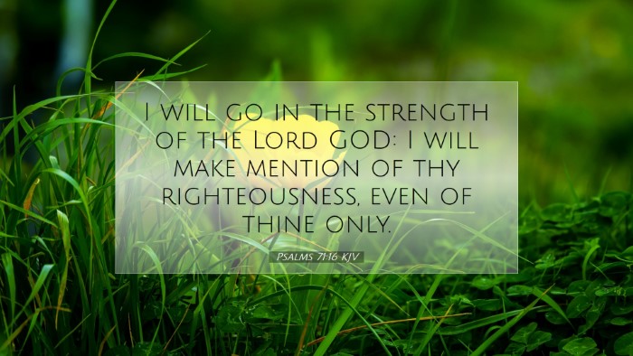 Picture 07 - Psalms 71:16 KJV Desktop Wallpaper - I will go in the strength of the Lord GOD: I will - Desktop Bible Verse Wallpaper