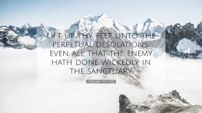 Picture 07 - Psalms 74:3 KJV Desktop Wallpaper - Lift up thy feet unto the perpetual desolations; - Desktop Bible Verse Wallpaper