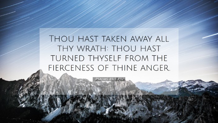 Picture 07 - Psalms 85:3 KJV Desktop Wallpaper - Thou hast taken away all thy wrath: thou hast - Desktop Bible Verse Wallpaper