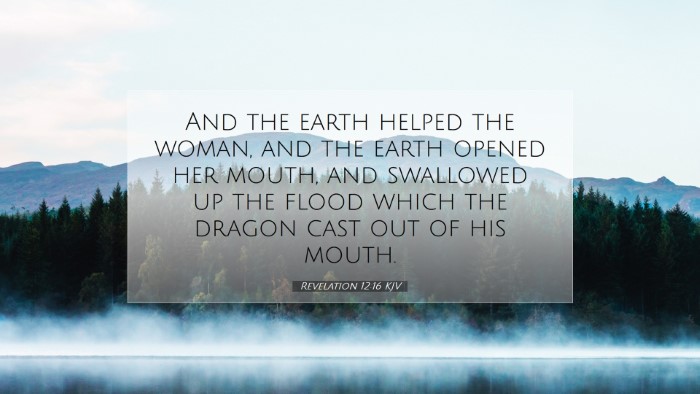 Picture 07 - Revelation 12:16 KJV Desktop Wallpaper - And the earth helped the woman, and the earth - Desktop Bible Verse Wallpaper
