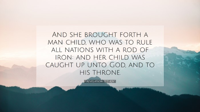 Picture 07 - Revelation 12:5 KJV Desktop Wallpaper - And she brought forth a man child, who was to - Desktop Bible Verse Wallpaper