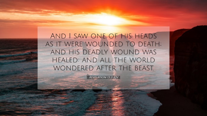 Picture 07 - Revelation 13:3 KJV Desktop Wallpaper - And I saw one of his heads as it were wounded to - Desktop Bible Verse Wallpaper