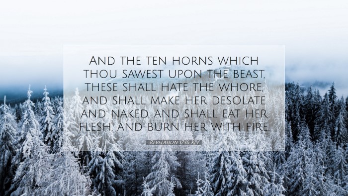 Picture 07 - Revelation 17:16 KJV Desktop Wallpaper - And the ten horns which thou sawest upon the - Desktop Bible Verse Wallpaper