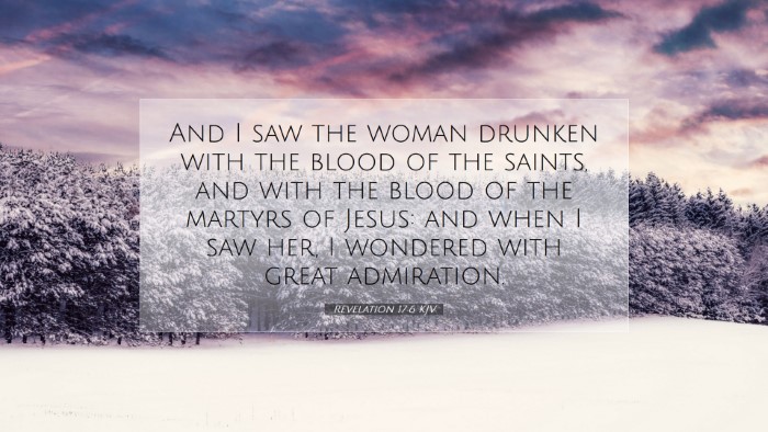 Picture 07 - Revelation 17:6 KJV Desktop Wallpaper - And I saw the woman drunken with the blood of the - Desktop Bible Verse Wallpaper