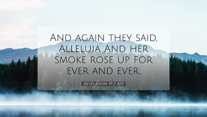 Picture 07 - Revelation 19:3 KJV Desktop Wallpaper - And again they said, Alleluia And her smoke rose - Desktop Bible Verse Wallpaper