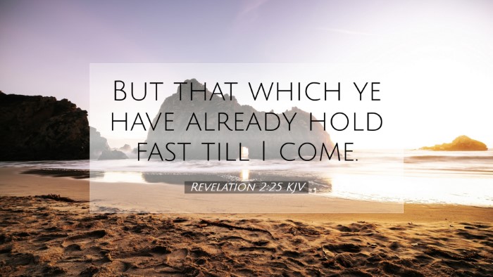Picture 07 - Revelation 2:25 KJV Desktop Wallpaper - But that which ye have already hold fast till I - Desktop Bible Verse Wallpaper