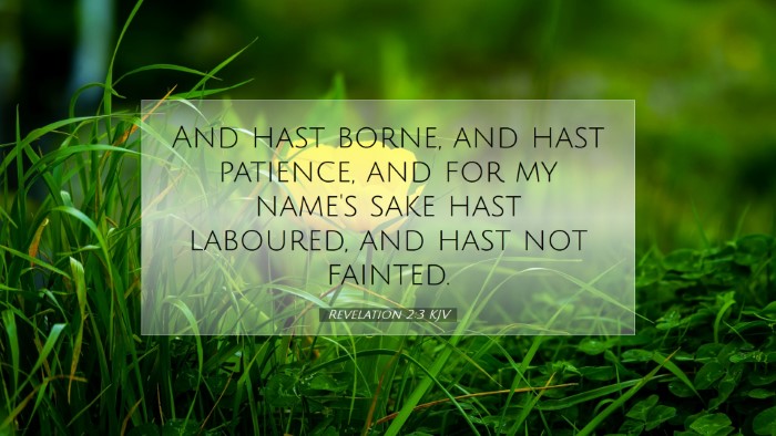 Picture 07 - Revelation 2:3 KJV Desktop Wallpaper - And hast borne, and hast patience, and for my - Desktop Bible Verse Wallpaper