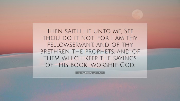 Picture 07 - Revelation 22:9 KJV Desktop Wallpaper - Then saith he unto me, See thou do it not: for I - Desktop Bible Verse Wallpaper